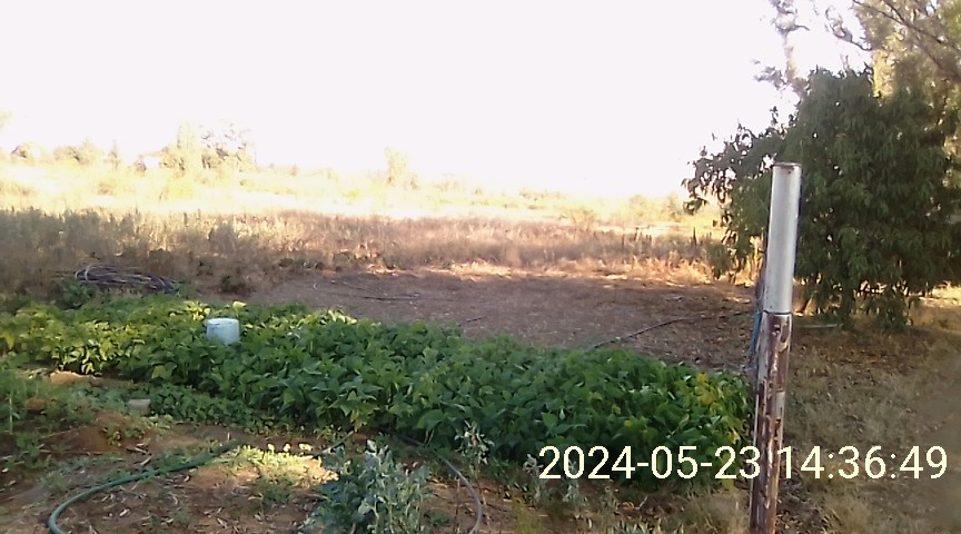  Bedroom Property for Sale in Koppies Free State